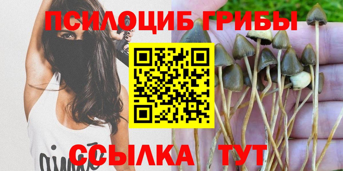Псилоцибиновые грибы мицелий  Псилоцибиновые грибы Cubensis  Вход с VPN  купить   Полевской 